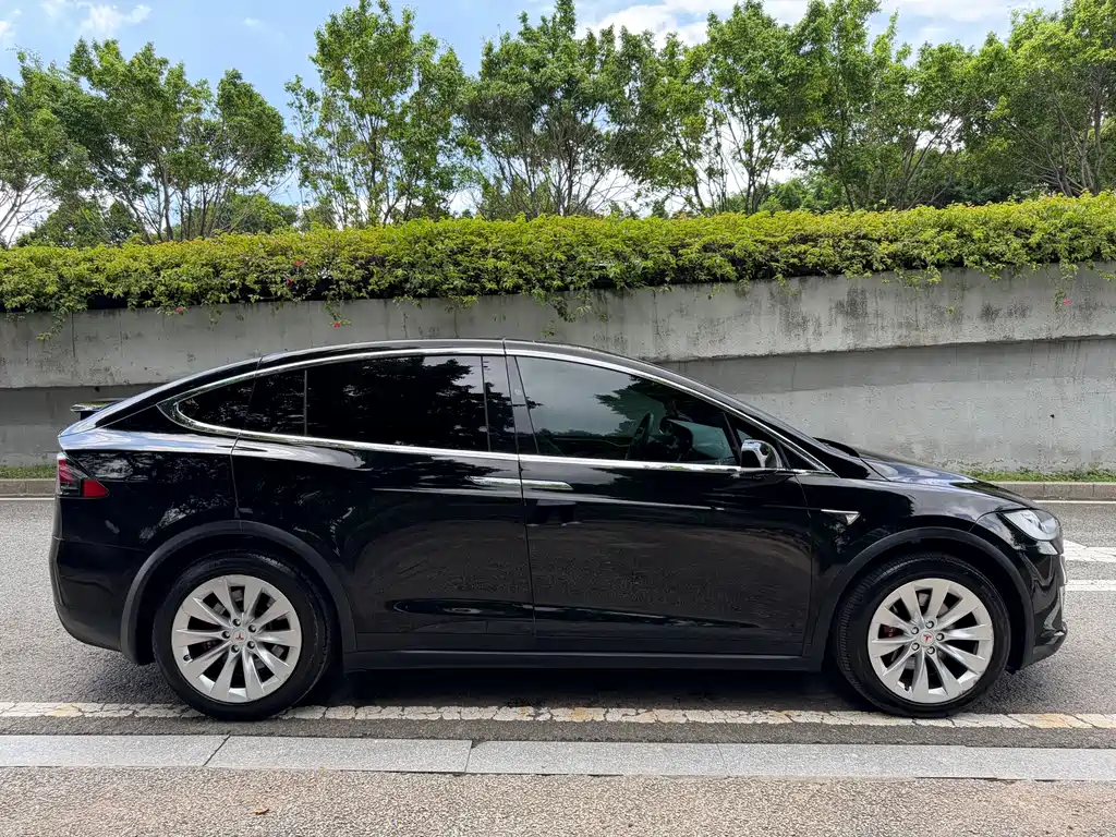 Tesla Model X 2019 — фото 21