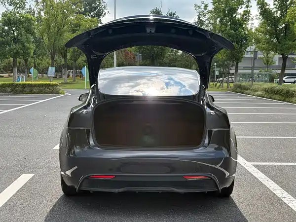 Tesla Model 3 2025