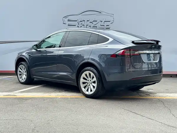 Tesla Model X 2019