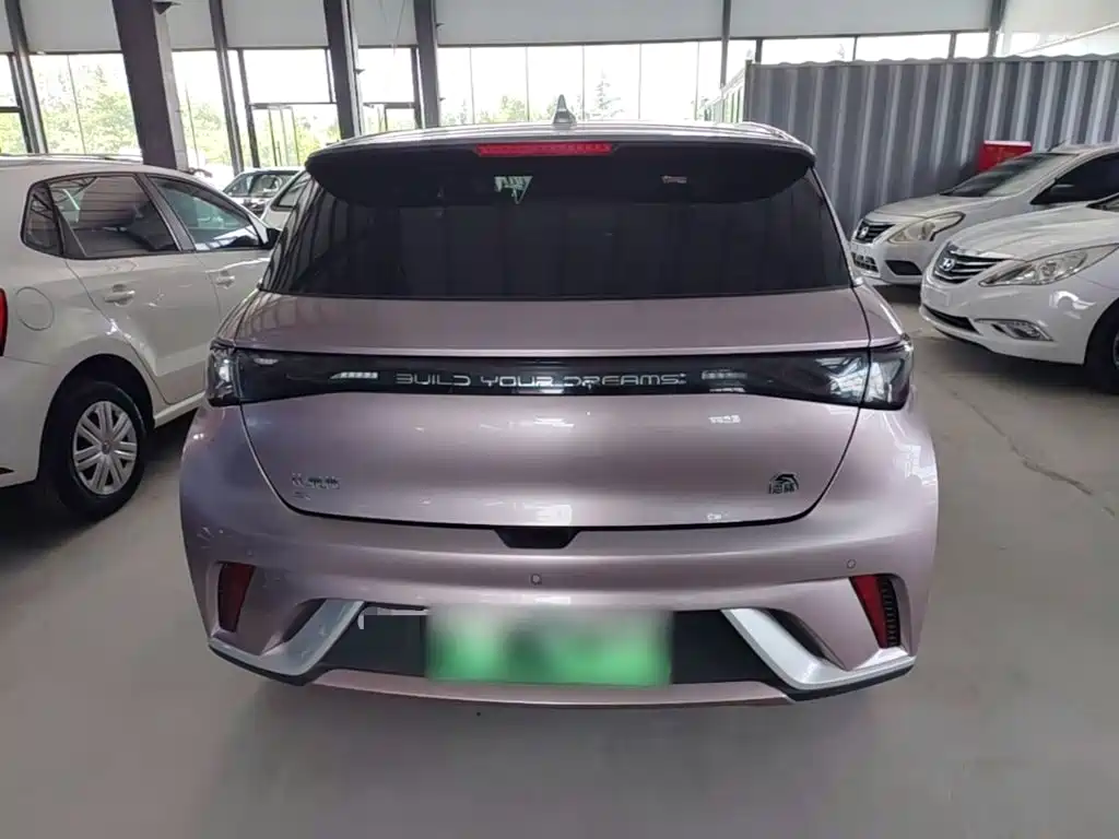 BYD Dolphin 2022