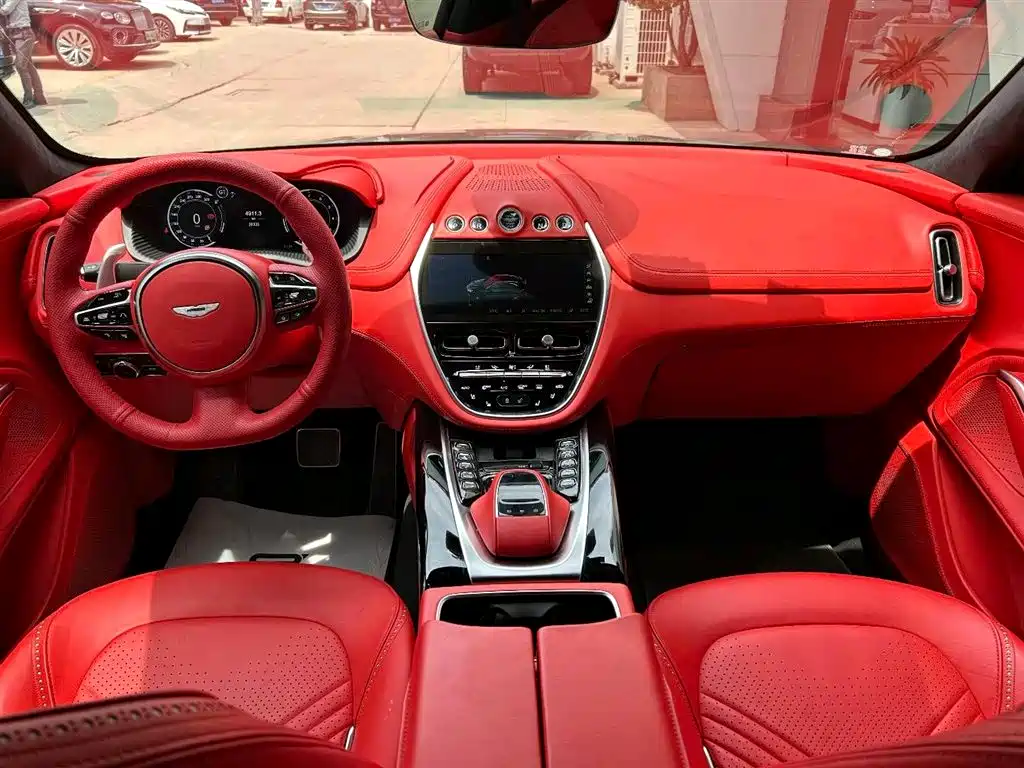 Aston Martin DBX 2021 — фото 15