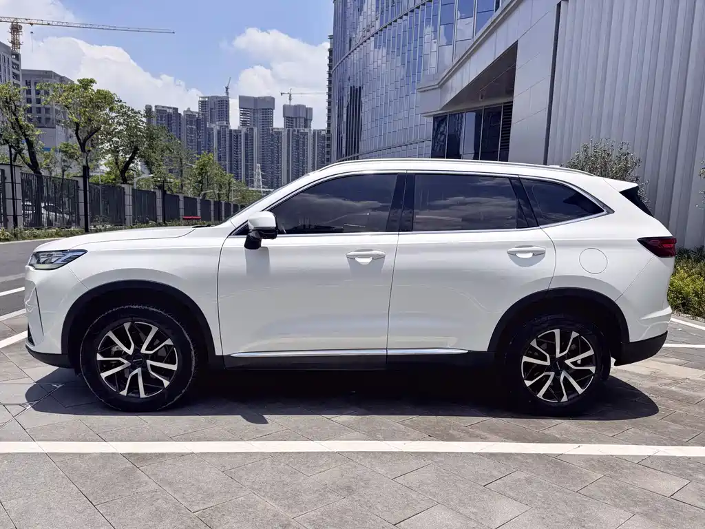 Haval H6 2022 — фото 32