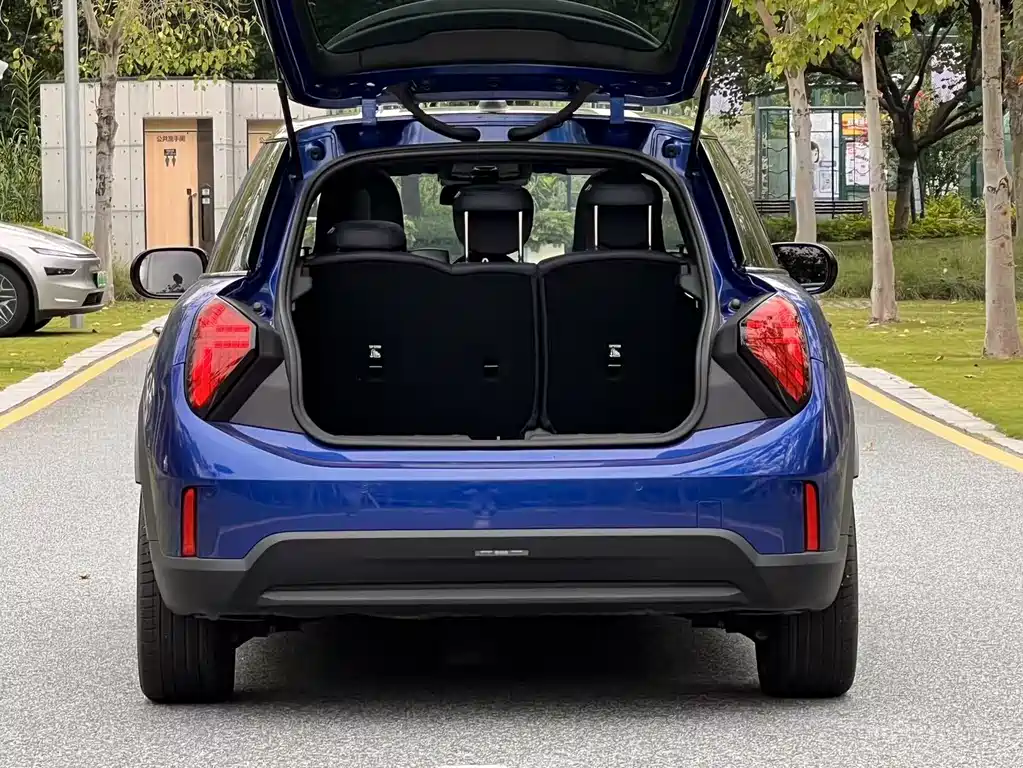 MINI MINI 2024