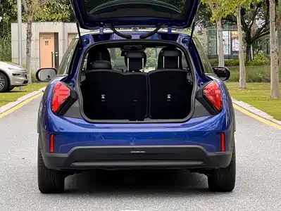 MINI MINI 2024