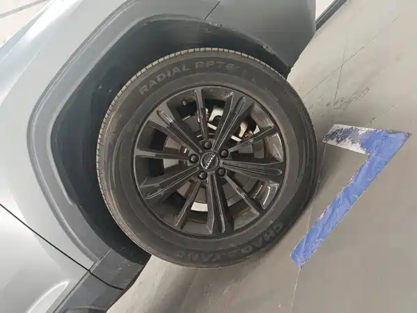 Haval Raptors New Energy 2025