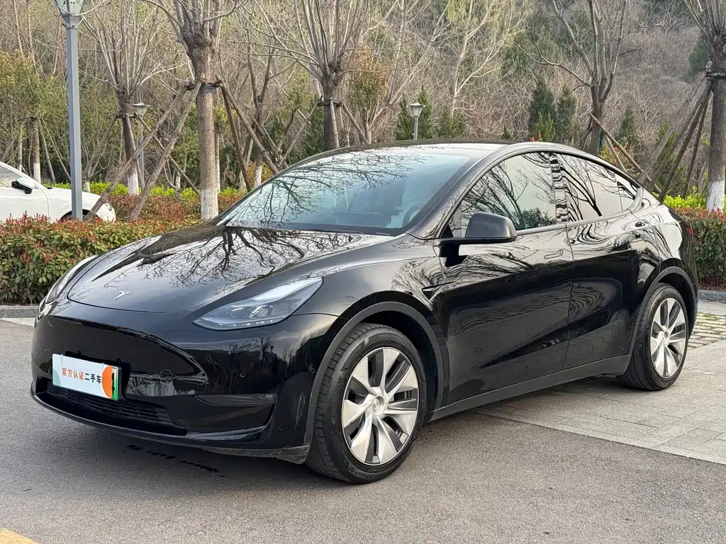 Tesla Model Y 2021 — фото 1