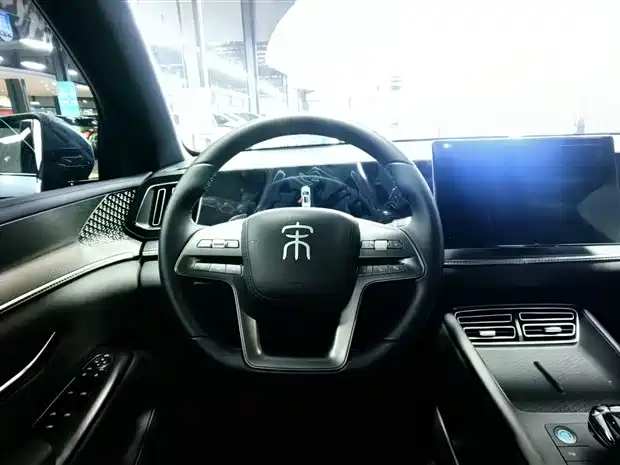 BYD Pro New Energy 2025 — фото 18