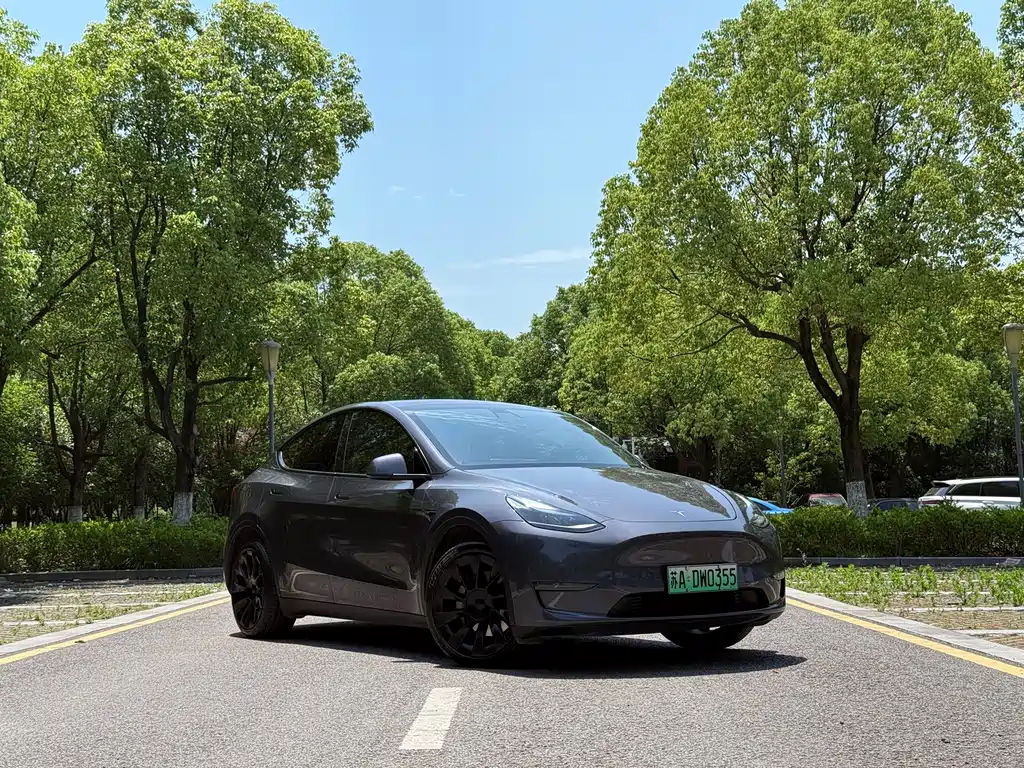 Tesla Model Y 2021 — фото 4