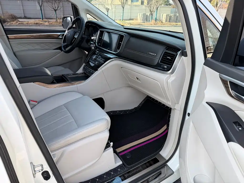 GAC Motor Trumpchi M8 2020 — фото 7