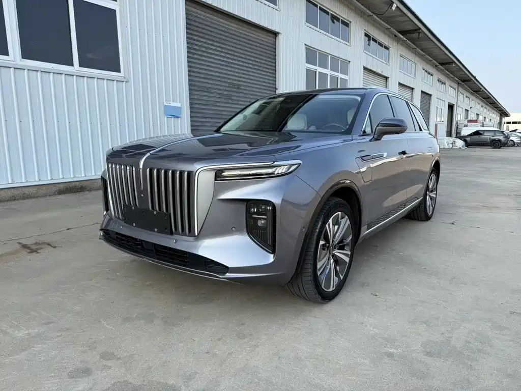 Hongqi E-HS9 2021