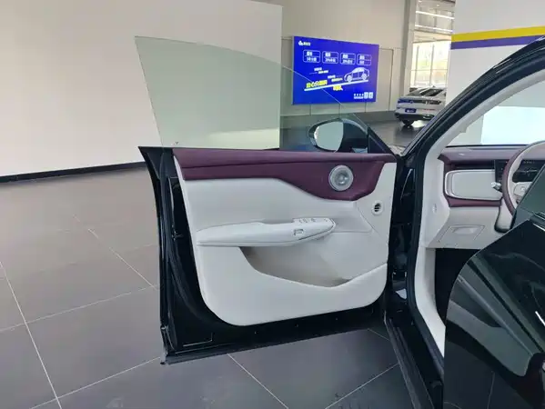 Voyah Zhiyin 2025