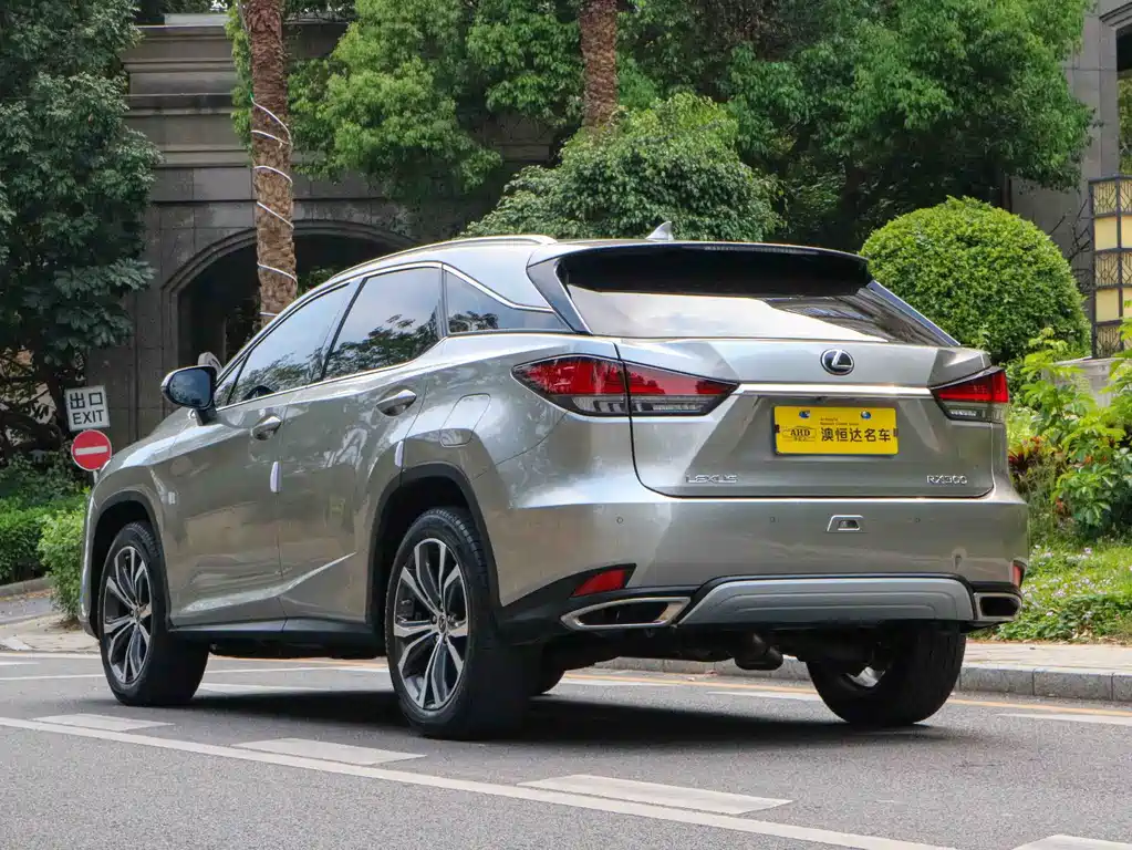 Lexus RX 2022 — фото 13