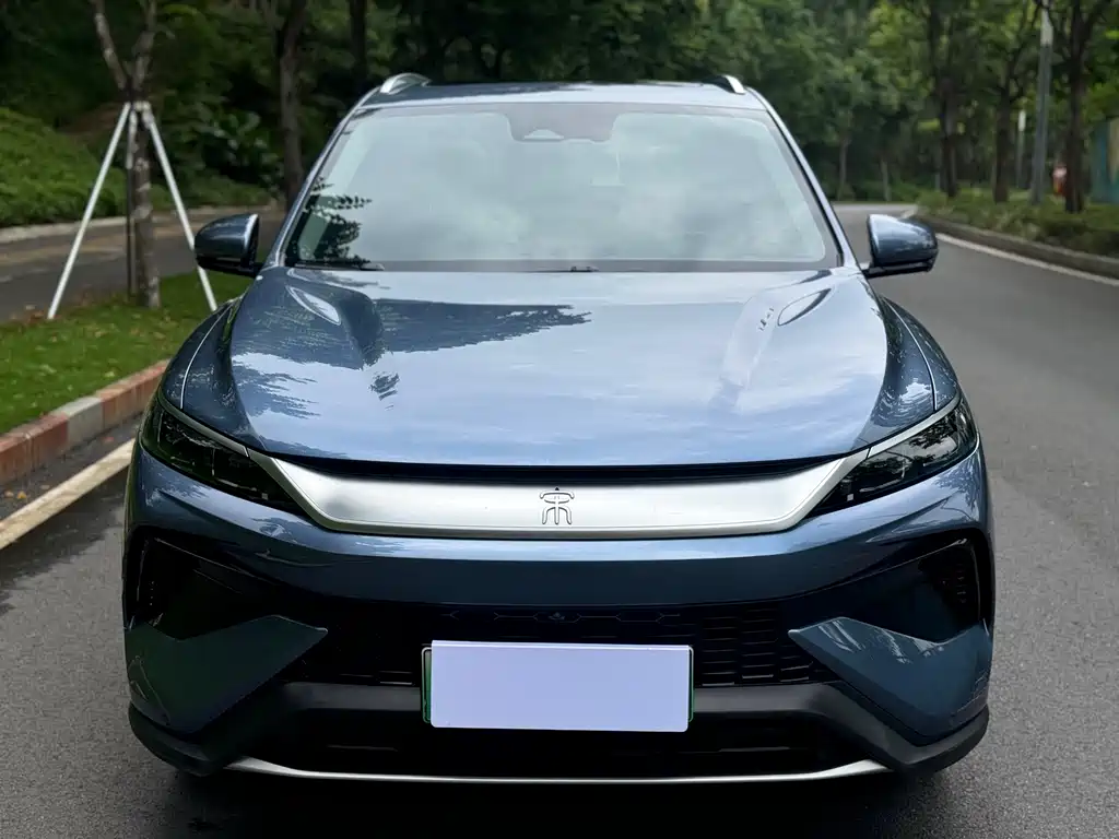 BYD Pro New Energy 2025 — фото 2