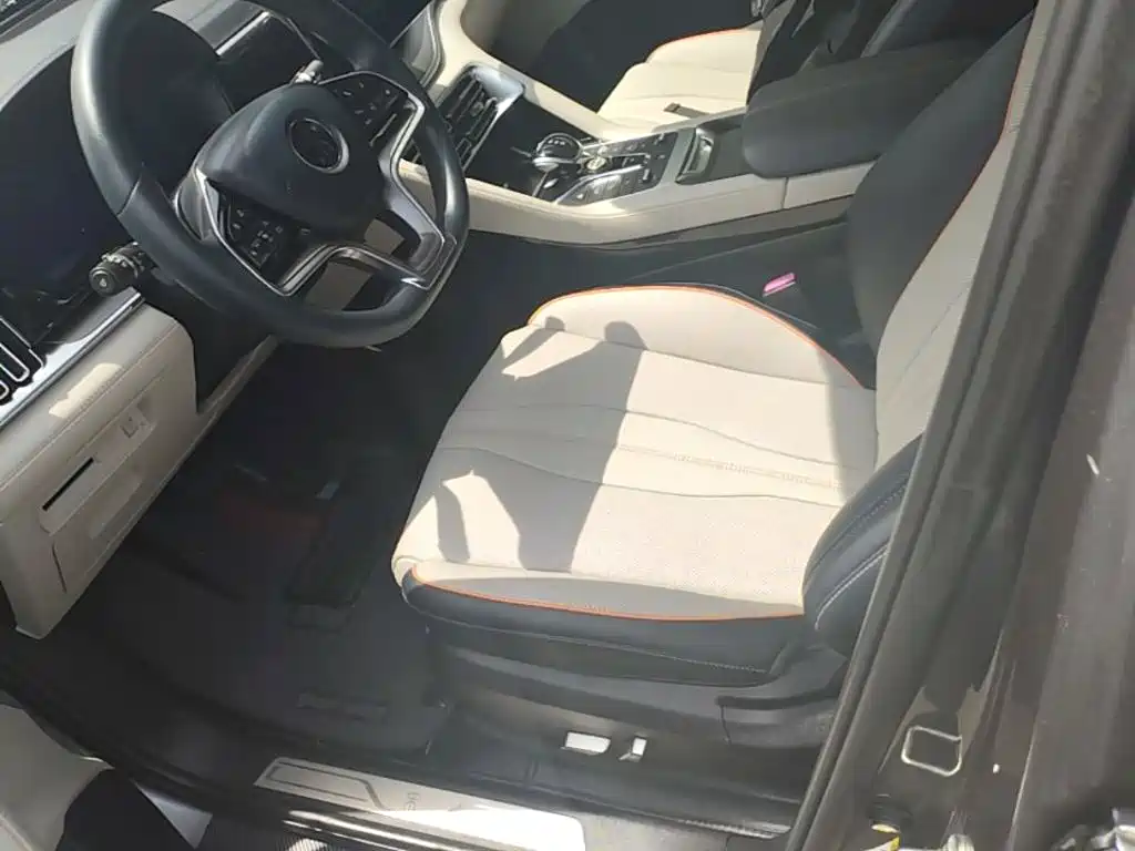 BYD PLUS New Energy 2022 — фото 15