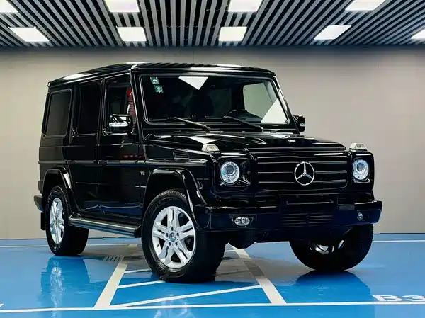 Mercedes-Benz G-Class 2010