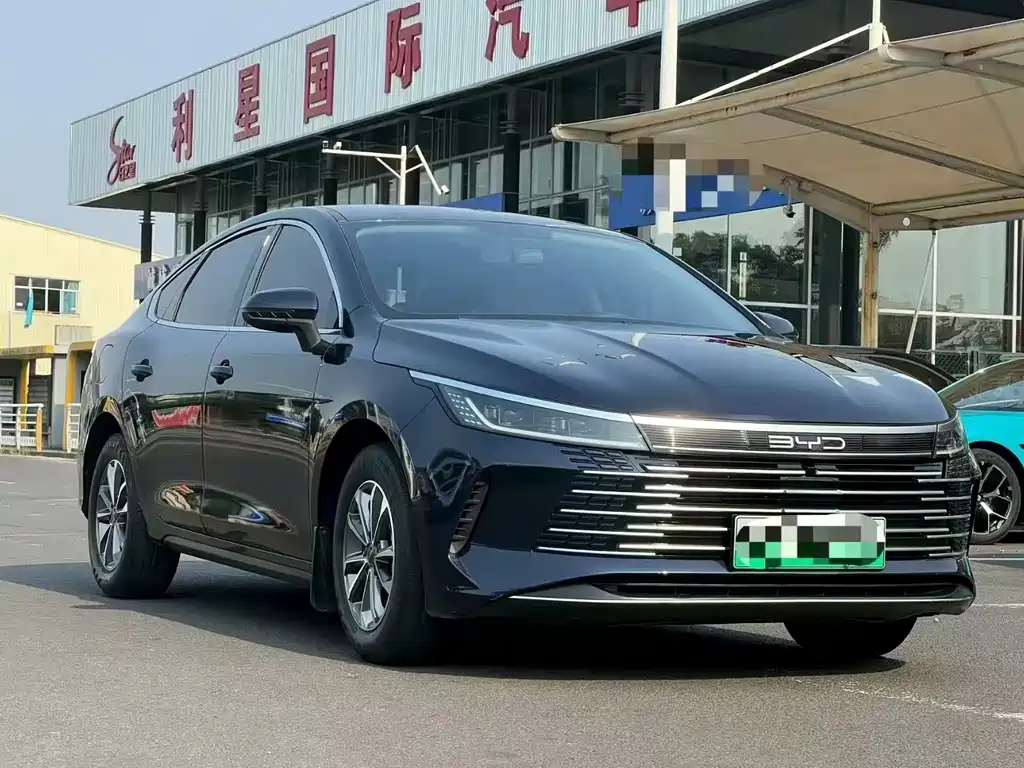 BYD Destroyer 05 2024 — фото 3