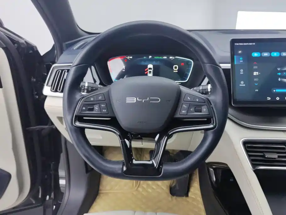 BYD Song PLUS New Energy 2023 — фото 15