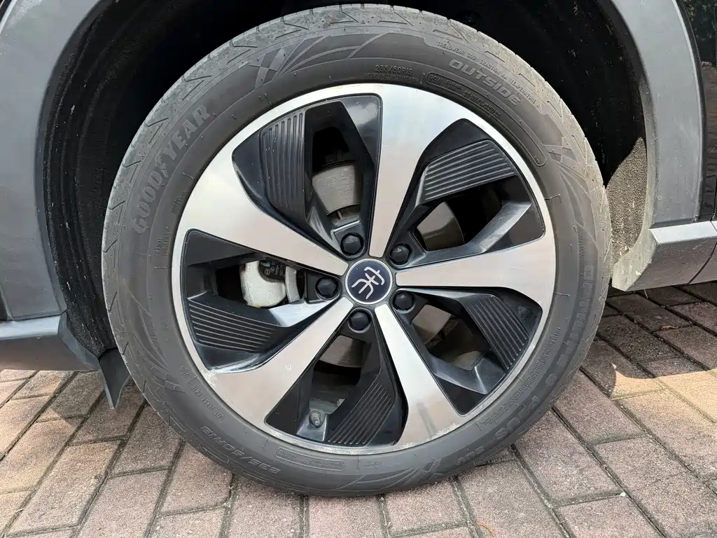 BYD PLUS New Energy 2022 — фото 11