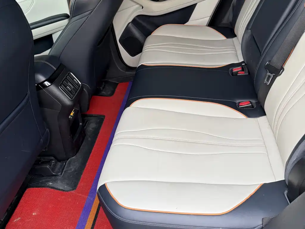 BYD PLUS New Energy 2022 — фото 15