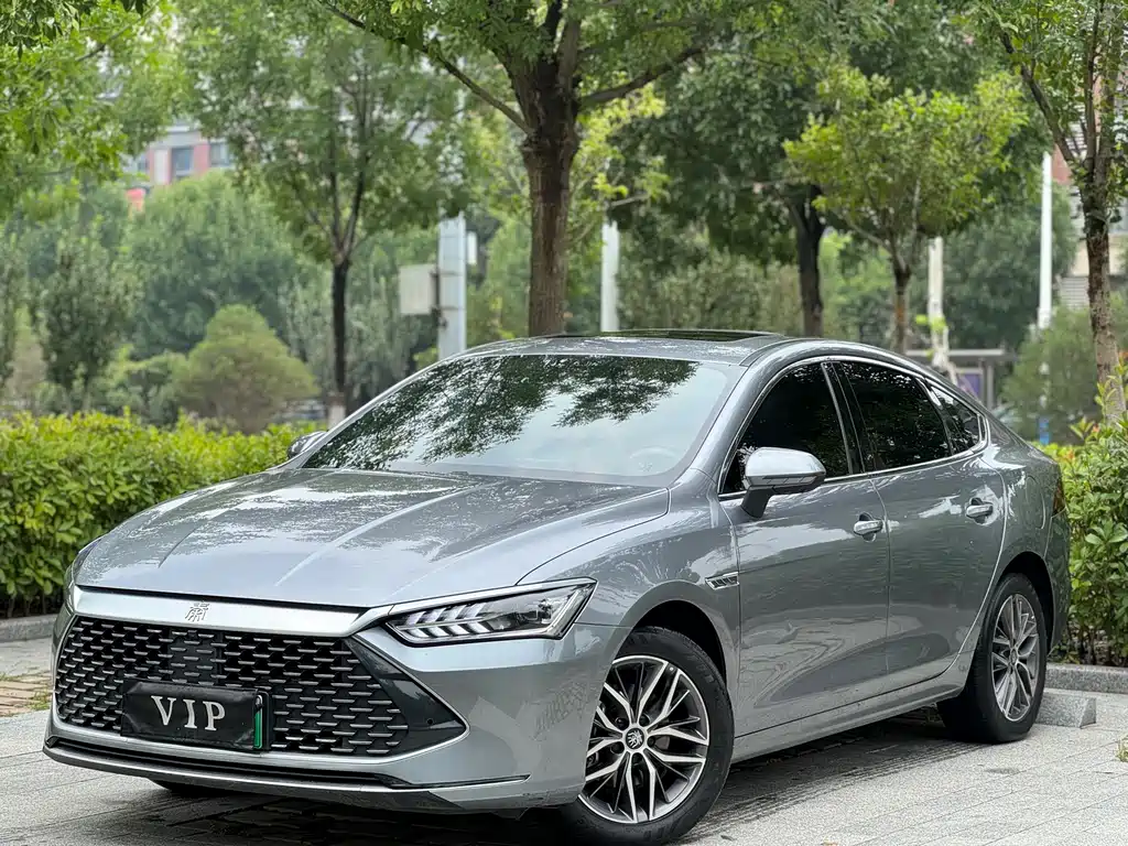 BYD Qin PLUS 2023 — фото 1