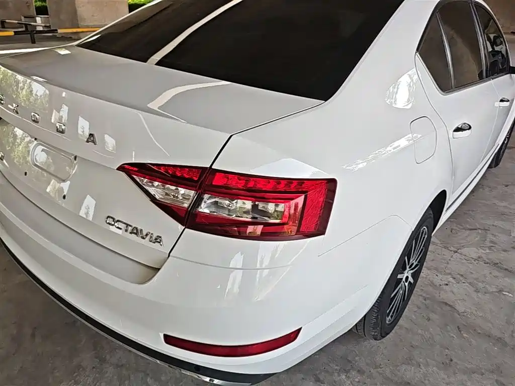 Skoda Octavia 2019 — фото 8