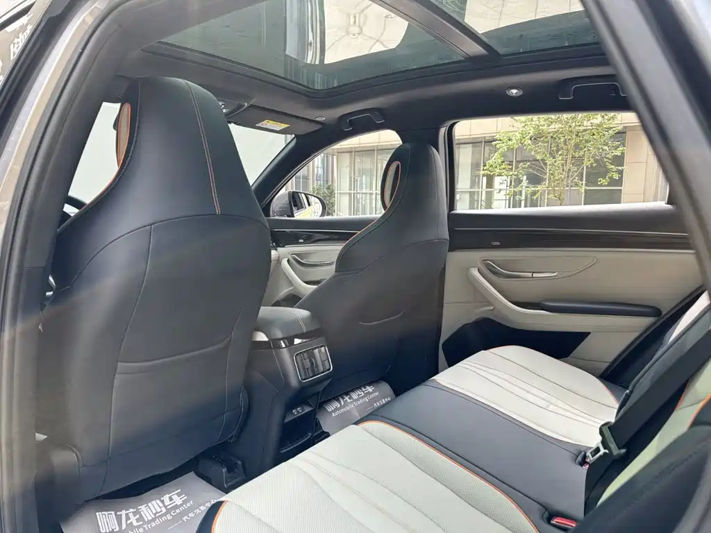 BYD Song PLUS New Energy 2022 — фото 12