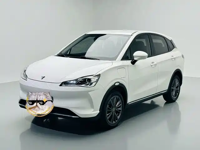 Neta V 2022