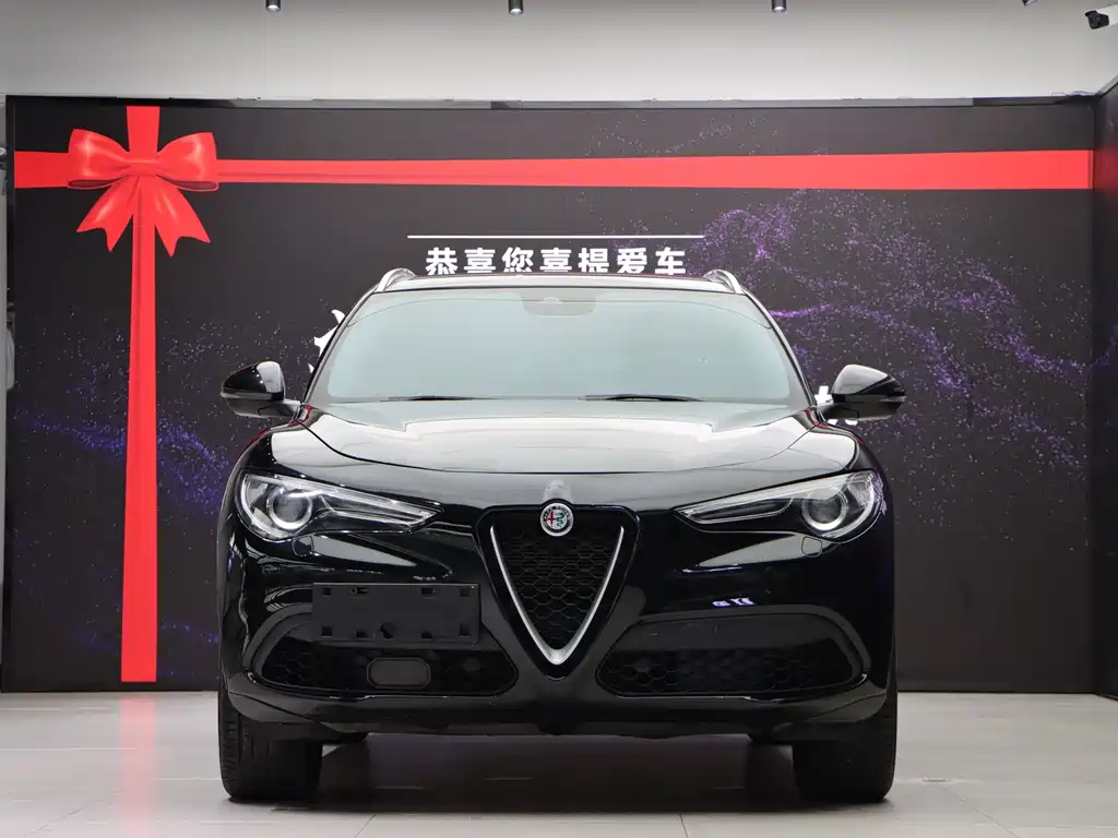 Alfa Romeo Stelvio 2020 — фото 2