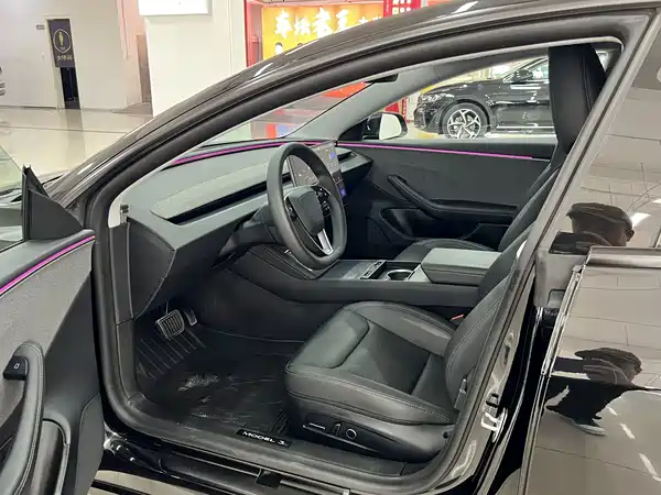 Tesla Model 3 2025