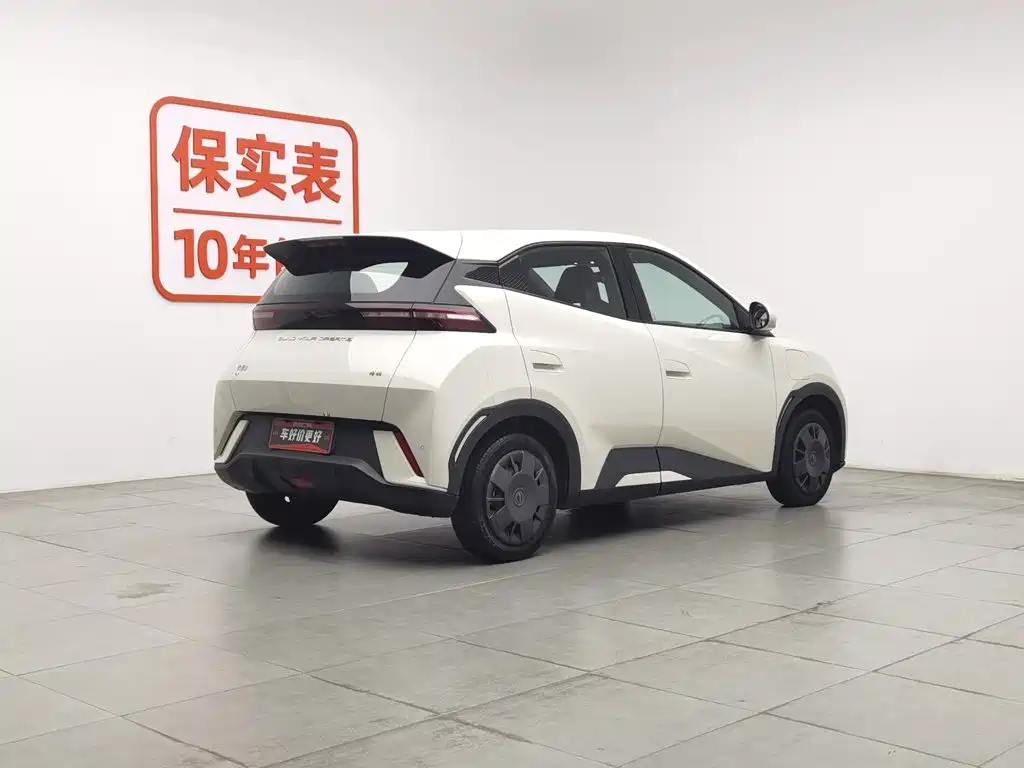 BYD Seagull 2024