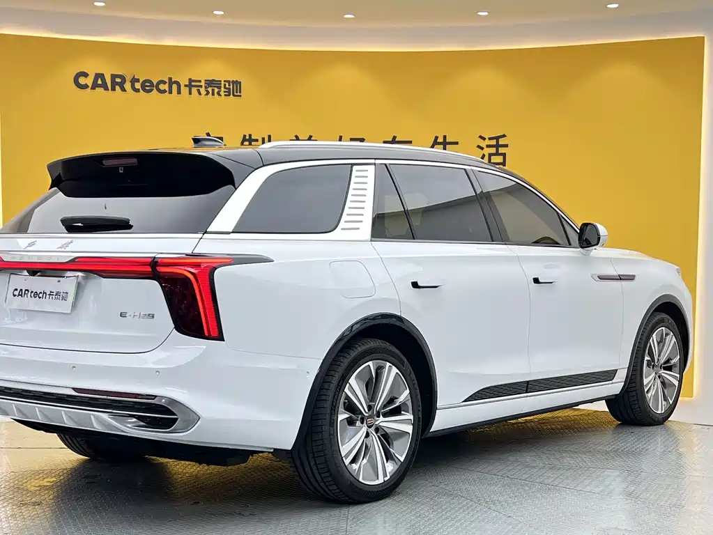 Hongqi E-HS9 2023 — фото 35
