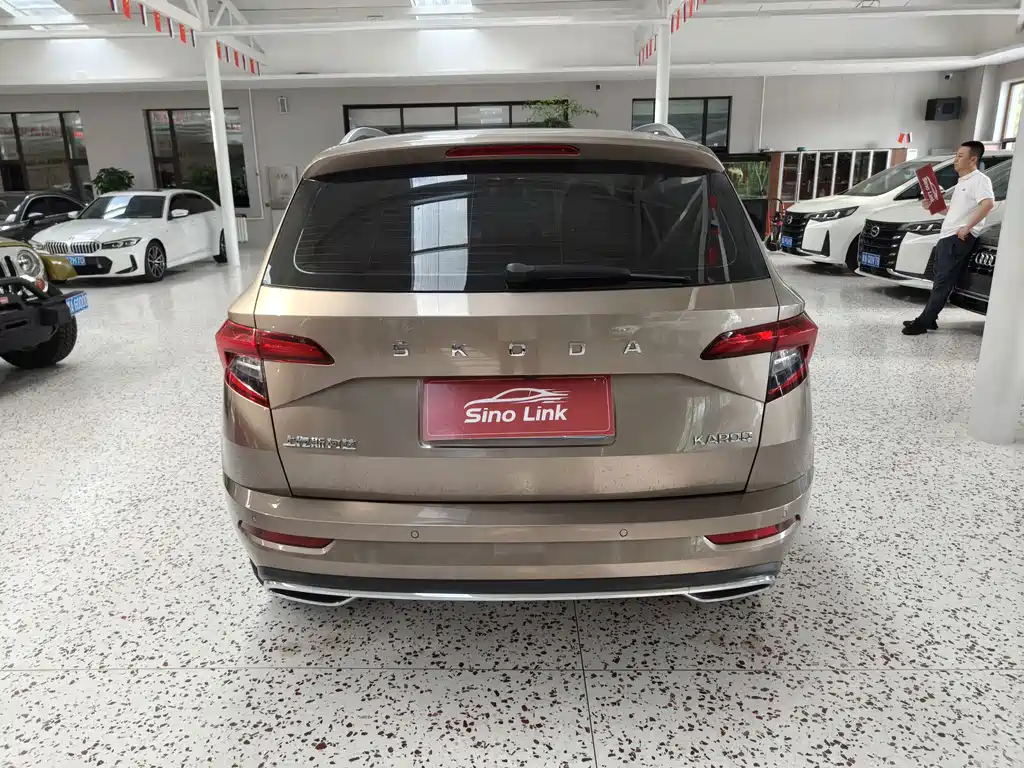 Skoda Karoq 2023 — фото 6