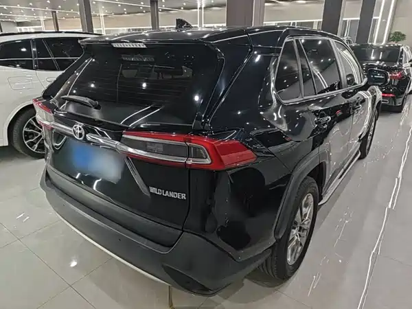 Toyota Wildlander 2020