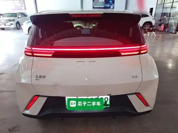 BYD Seagull 2024