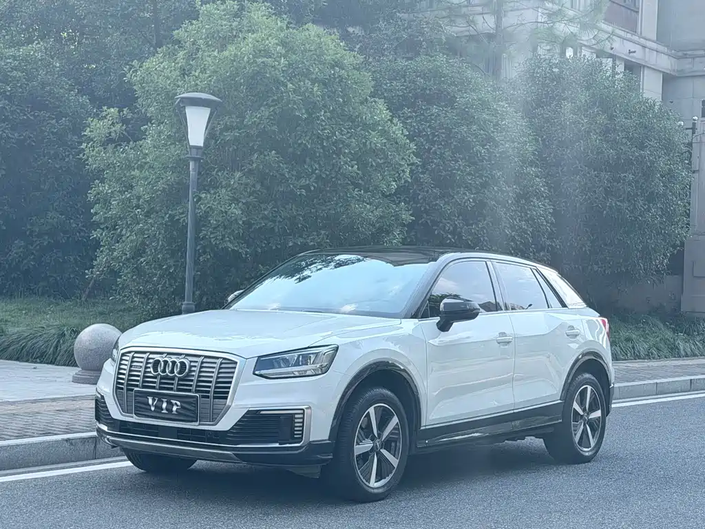 Audi Q2L E-Tron 2020