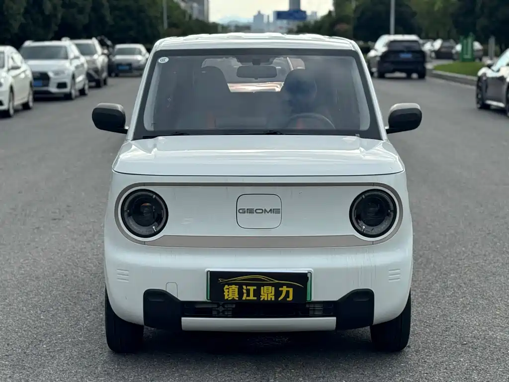 Geely Galaxy Panda 2023 — фото 2