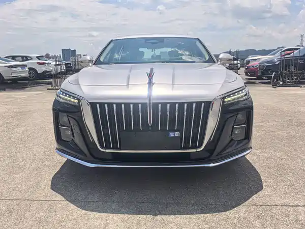 Hongqi H5 2022