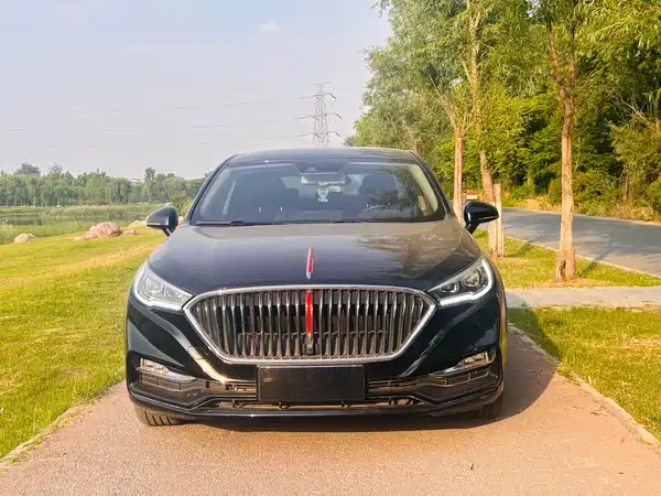 Hongqi H5 2020