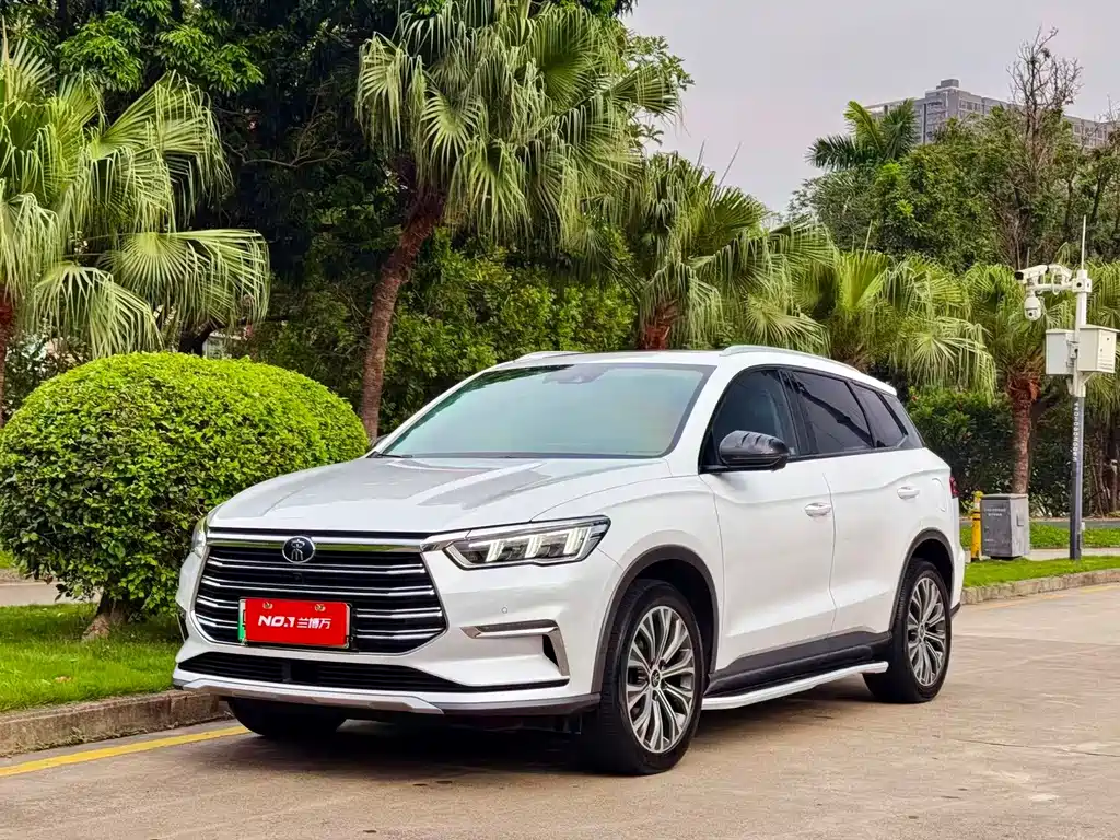 BYD Pro New Energy 2020 — фото 1