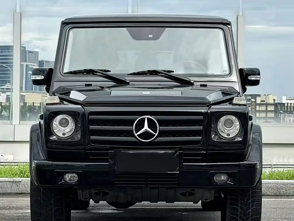 Mercedes-Benz G-Class 2011 — фото 2