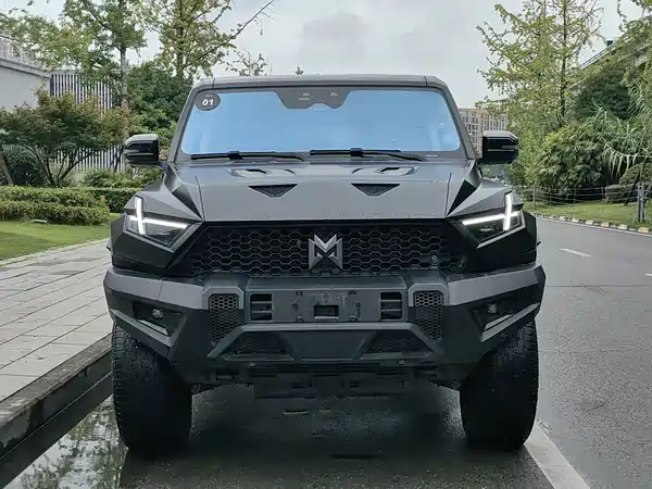 Mengshi 917 2023