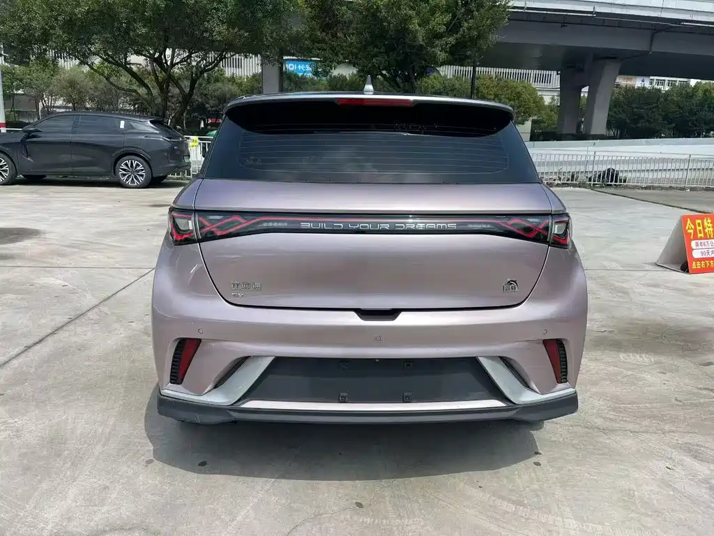 BYD Dolphin 2021