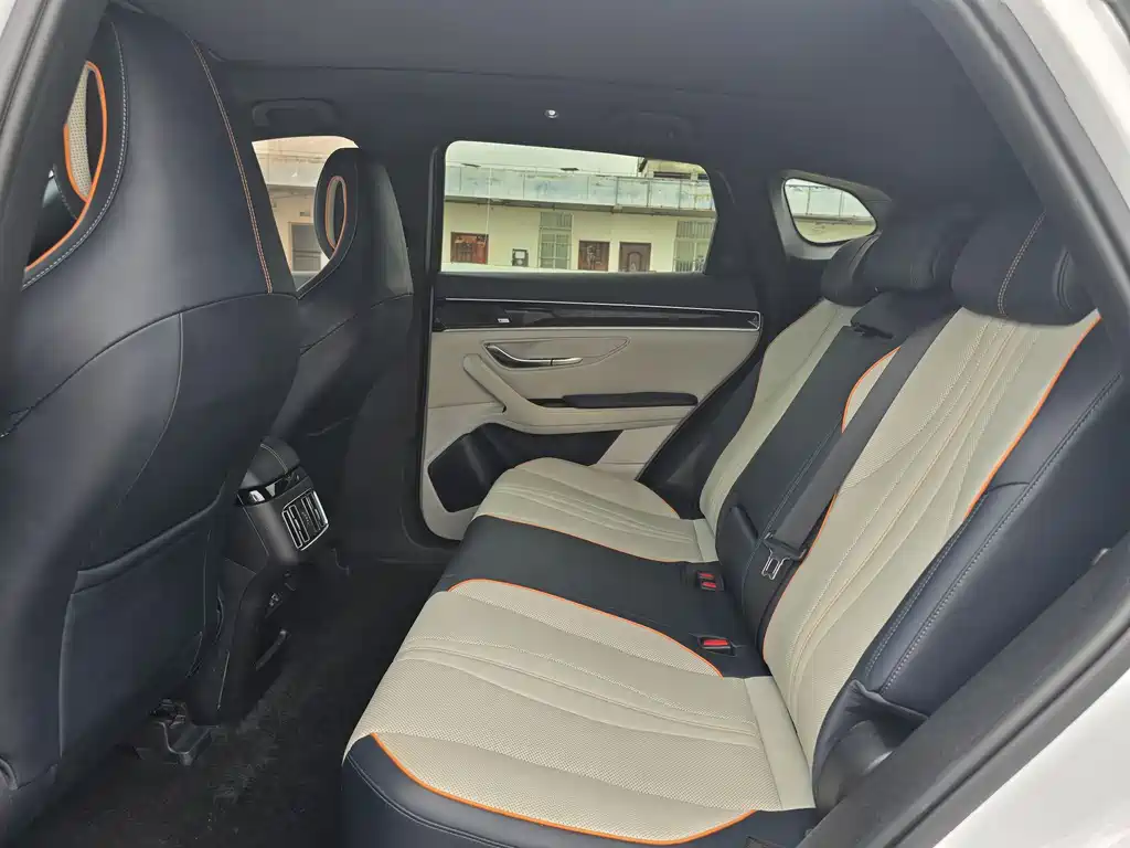 BYD PLUS New Energy 2022 — фото 11