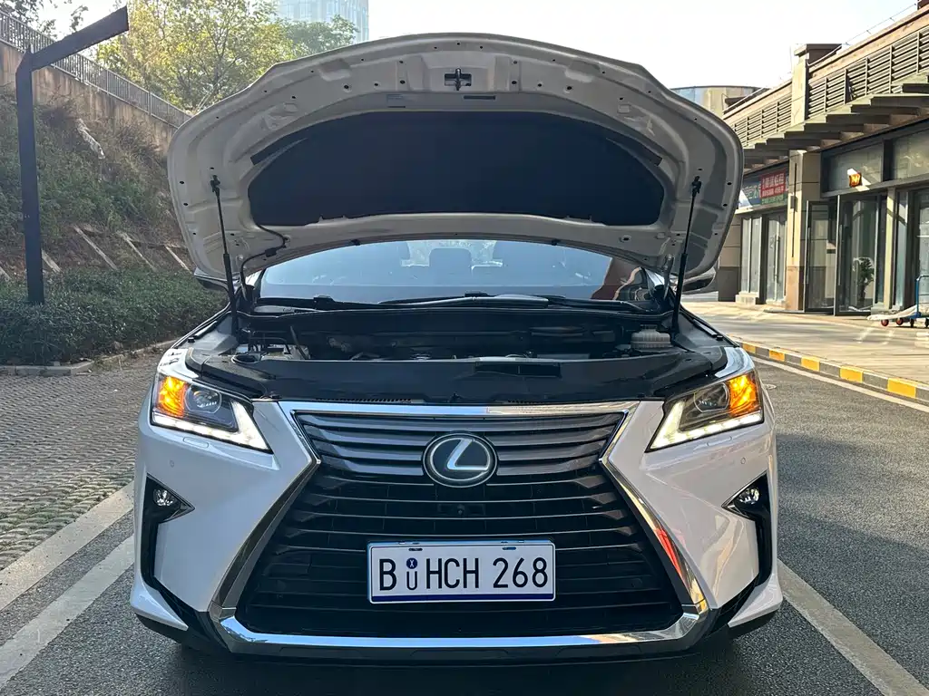 Lexus RX 2017 — фото 14