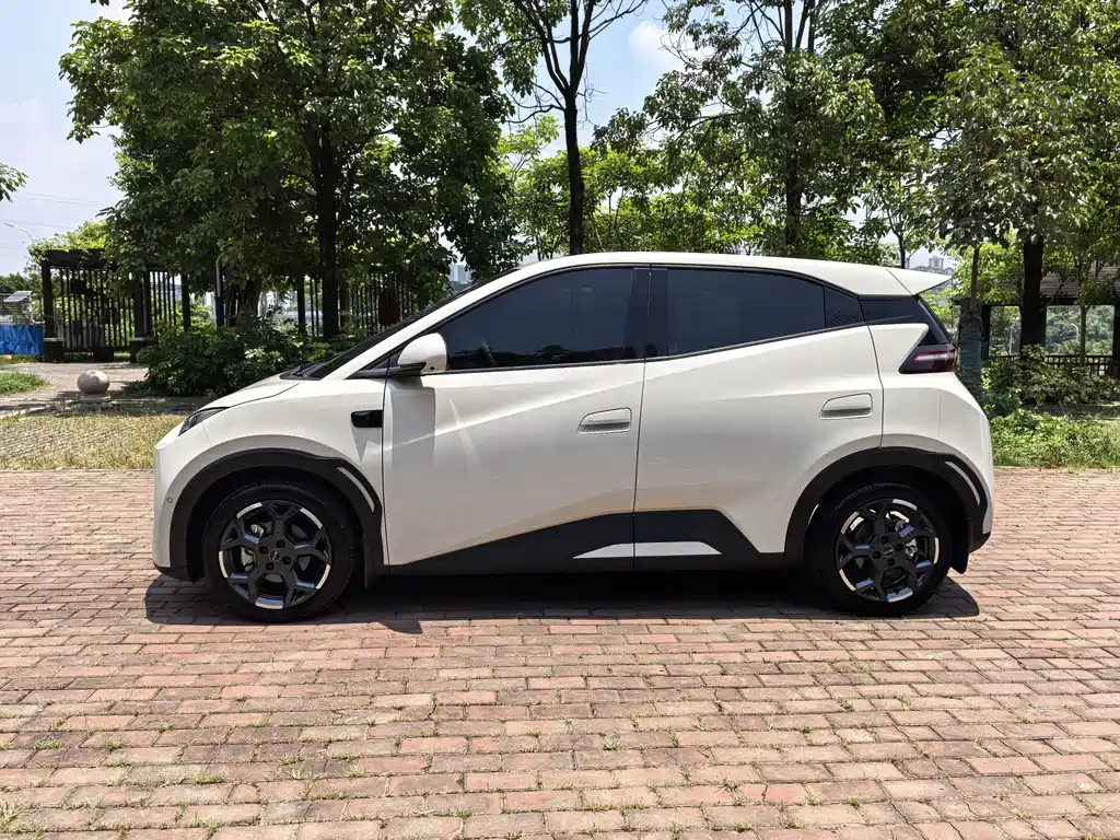 BYD Seagull 2025