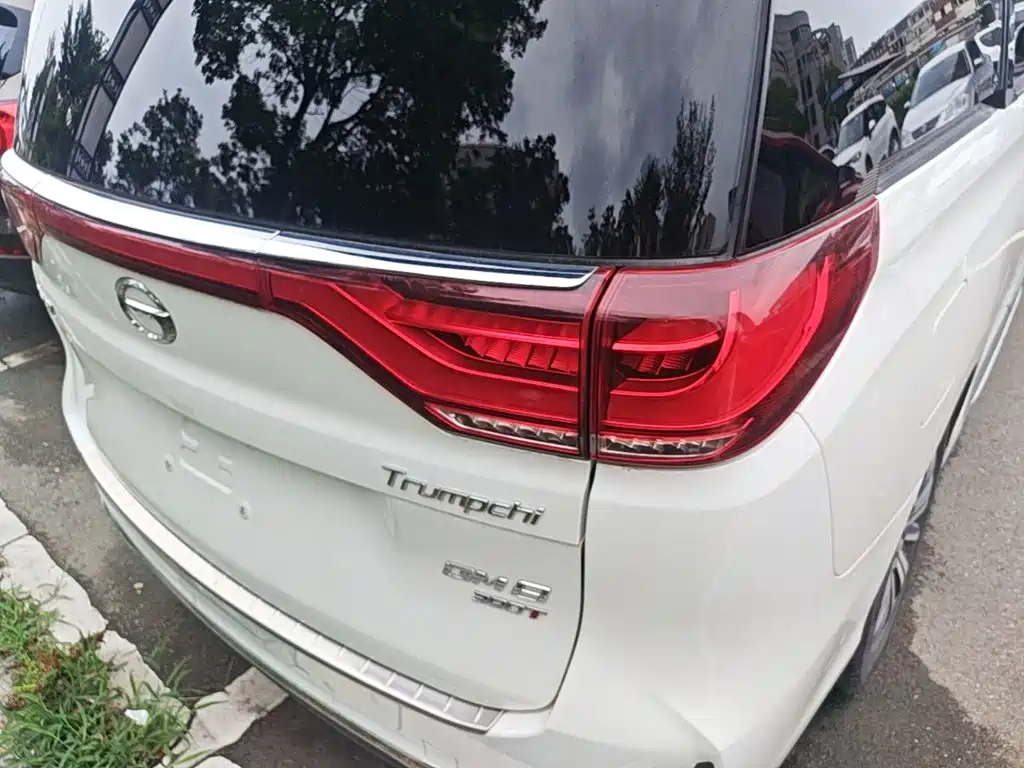 GAC Motor Trumpchi M8 2020 — фото 8