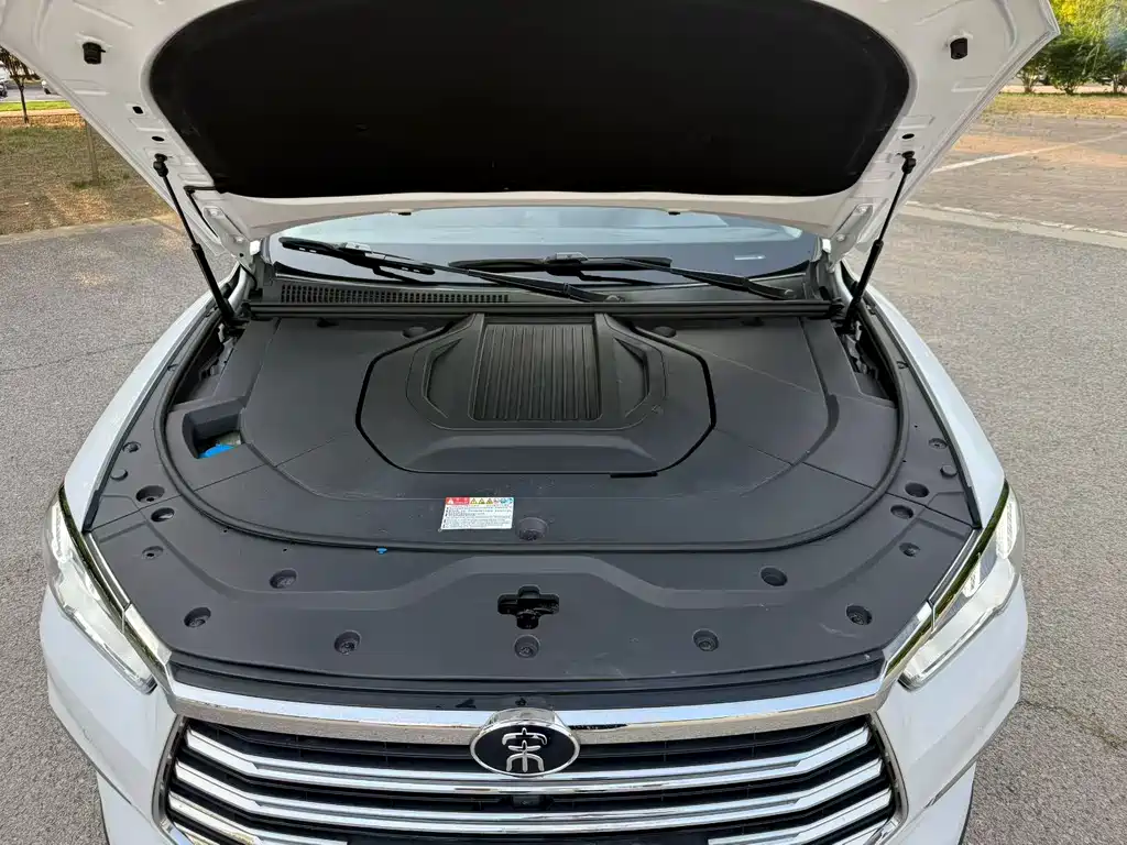 BYD Pro New Energy 2020 — фото 9