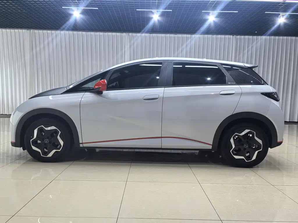 BYD Dolphin 2022