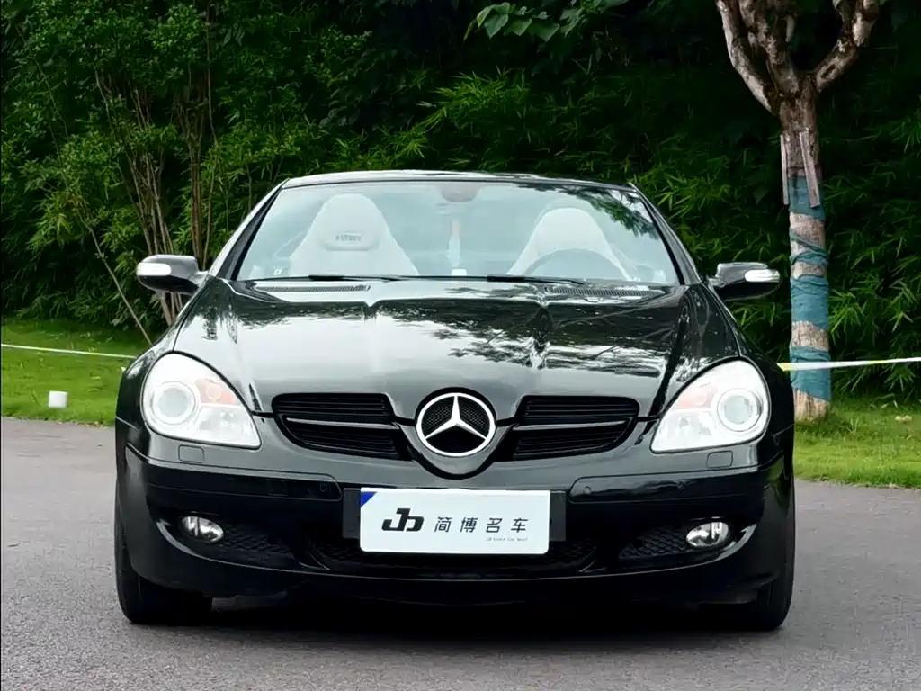 Mercedes-Benz SLK-Class 2007 — фото 2