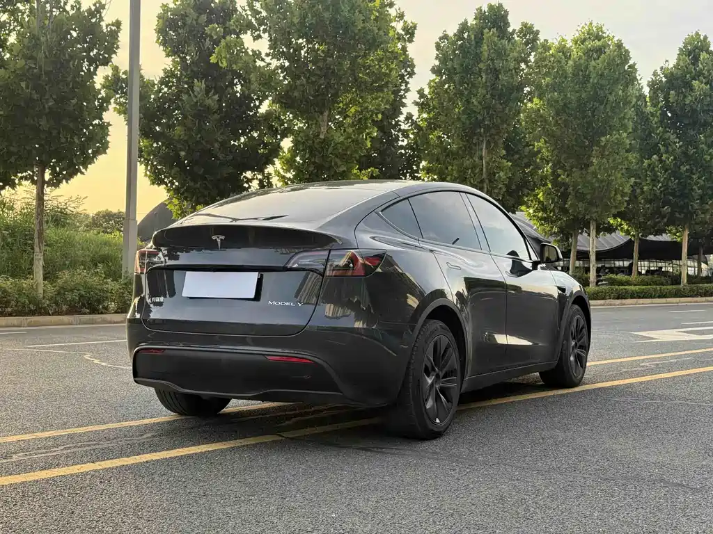Tesla Model Y 2024 — фото 7